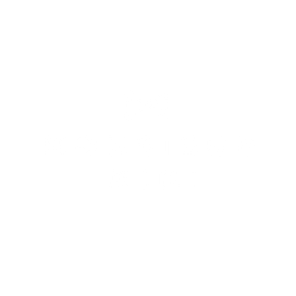 MONSIEUR MINI
